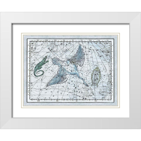 Maps of the Heavens: The Swan in the Milkyway White Modern Wood Framed Art Print with Double Matting by Jamieson, Alexander