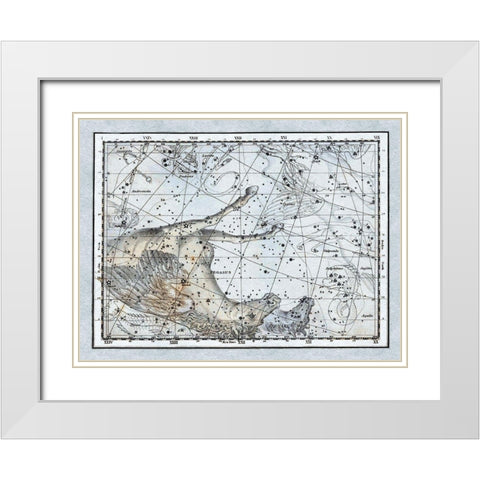 Maps of the Heavens: Pegasus the Horse White Modern Wood Framed Art Print with Double Matting by Jamieson, Alexander