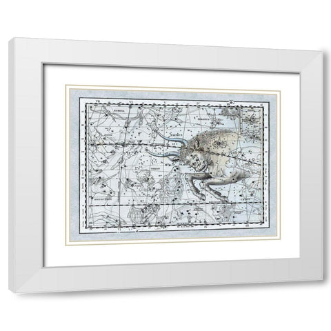 Maps of the Heavens: Taurus the Bull White Modern Wood Framed Art Print with Double Matting by Jamieson, Alexander