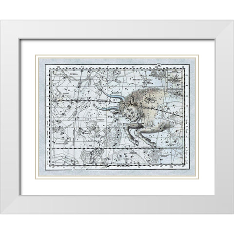 Maps of the Heavens: Taurus the Bull White Modern Wood Framed Art Print with Double Matting by Jamieson, Alexander