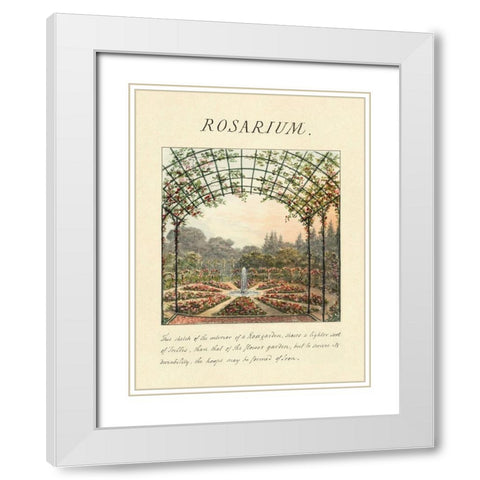 Rosarium, 1813 White Modern Wood Framed Art Print with Double Matting by Repton, Humphry