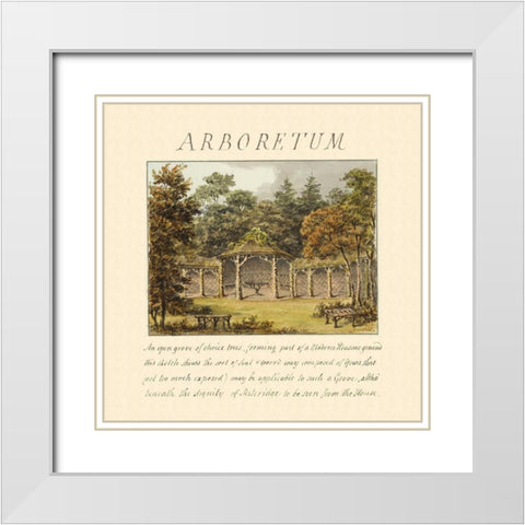 Arboretum, 1813 White Modern Wood Framed Art Print with Double Matting by Repton, Humphry