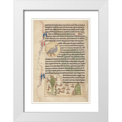 A Duck; Bees White Modern Wood Framed Art Print with Double Matting by English 13th Century