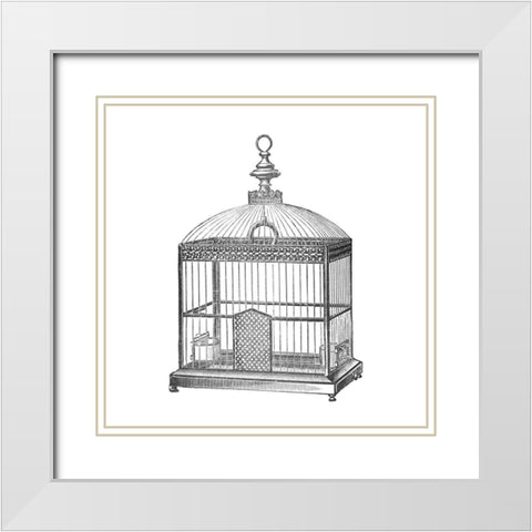 Etchings: Birdcage - Arched top, filigree detail. White Modern Wood Framed Art Print with Double Matting by Catalog Illustration