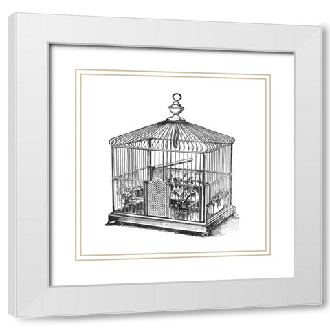 Etchings: Birdcage - Onion peak top, floral base. White Modern Wood Framed Art Print with Double Matting by Catalog Illustration