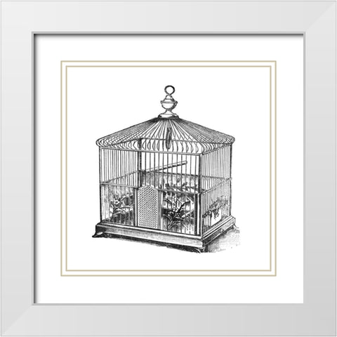 Etchings: Birdcage - Onion peak top, floral base. White Modern Wood Framed Art Print with Double Matting by Catalog Illustration