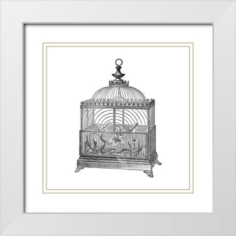 Etchings: Birdcage - Dome top, floral base, filigree detail. White Modern Wood Framed Art Print with Double Matting by Catalog Illustration