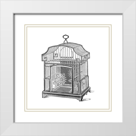 Etchings: Birdcage - Gable top, daisy base. White Modern Wood Framed Art Print with Double Matting by Catalog Illustration