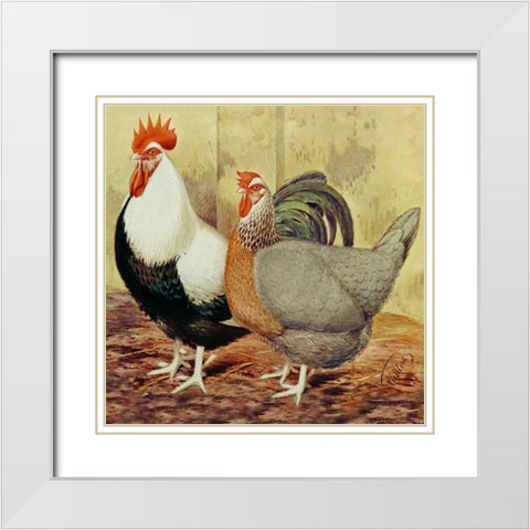 Chickens: Silver-Grey Dorkings White Modern Wood Framed Art Print with Double Matting by Wright, Lewis