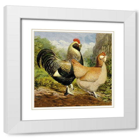 Chickens: Salmon Faverolles White Modern Wood Framed Art Print with Double Matting by Wright, Lewis