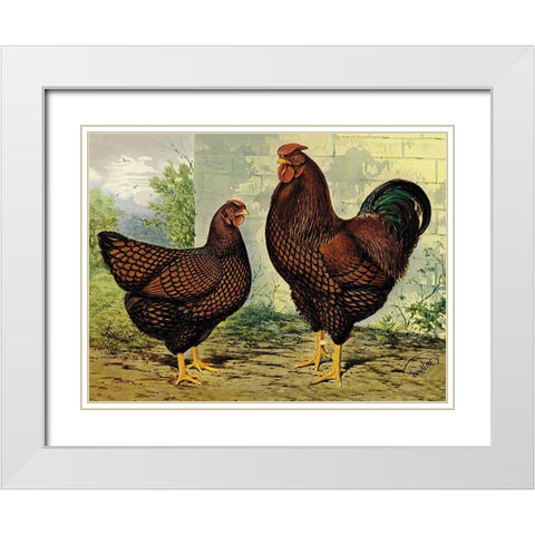 Chickens: Golden Wyandottes White Modern Wood Framed Art Print with Double Matting by Wright, Lewis