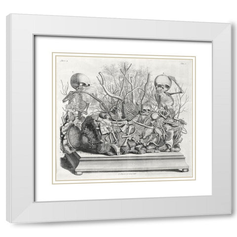 Diorama of fetal skeletons arranged with various internal organs White Modern Wood Framed Art Print with Double Matting by Huyberts, Cornelis