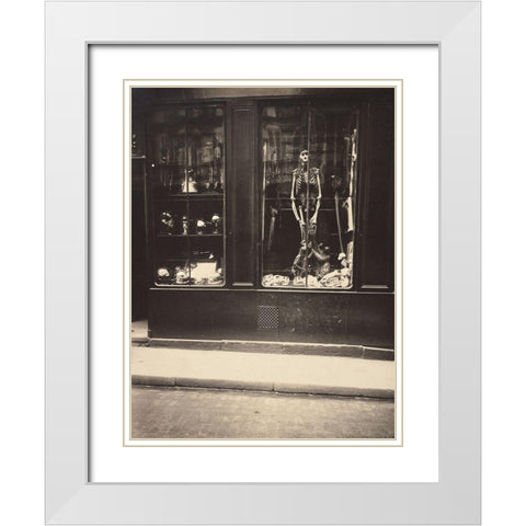 Zoologists Shop White Modern Wood Framed Art Print with Double Matting by Atget, Eugene