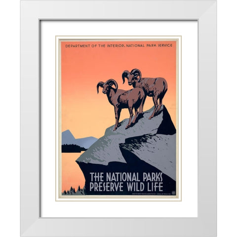 The National Parks Preserve Wild Life, ca. 1936-1939 White Modern Wood Framed Art Print with Double Matting by Hirt, J.