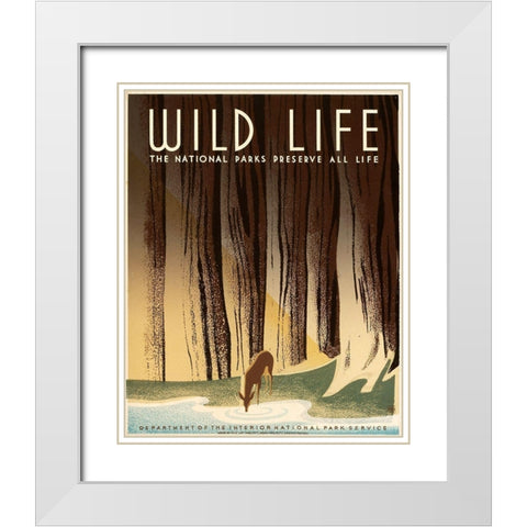 Wild Life; The National Parks Preserve All Life, ca. 1936-1940 White Modern Wood Framed Art Print with Double Matting by Nicholson, Frank S.