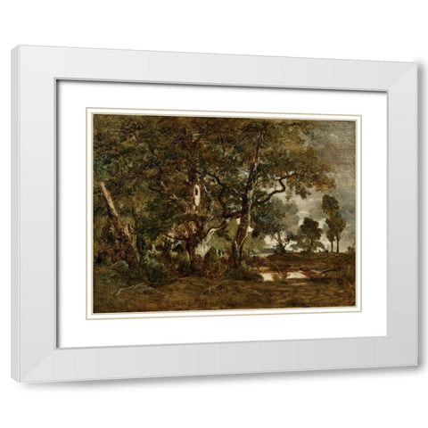Forest of Fontainebleau, Cluster of Tall Trees Overlooking the Plain of Clair-Bois at the Edge of Ba White Modern Wood Framed Art Print with Double Matting by Rousseau, Theodore