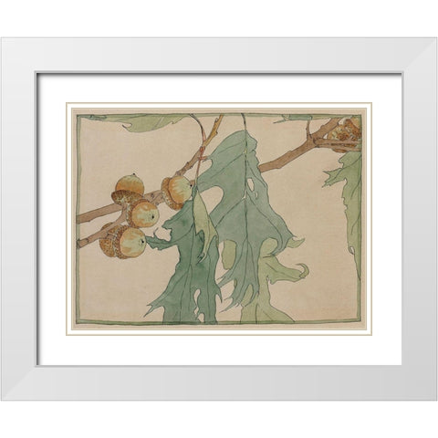 Oak/Acorns White Modern Wood Framed Art Print with Double Matting by Overbeck, Hannah Borger