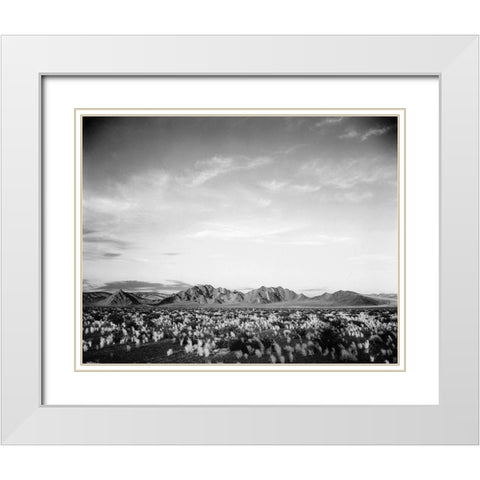 Distant mountains: desert and shrubs in foreground near Death Valley National Monument, California - White Modern Wood Framed Art Print with Double Matting by Adams, Ansel