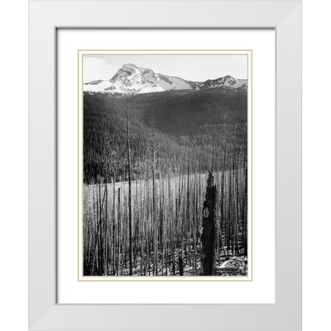 Burned Area, Glacier National Park, Montana - National Parks and Monuments, 1941 White Modern Wood Framed Art Print with Double Matting by Adams, Ansel
