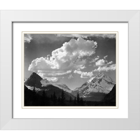 Trees in Glacier National Park, Montana - National Parks and Monuments, 1941 White Modern Wood Framed Art Print with Double Matting by Adams, Ansel