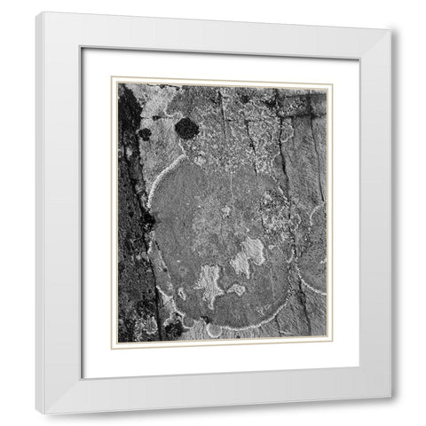 Lichons, Glacier National Park, Montana - National Parks and Monuments, 1941 White Modern Wood Framed Art Print with Double Matting by Adams, Ansel