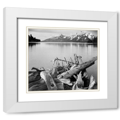 Driftwood on shore of Jackson Lake, with Teton Range in background, Grand Teton National Park, Wyomi White Modern Wood Framed Art Print with Double Matting by Adams, Ansel