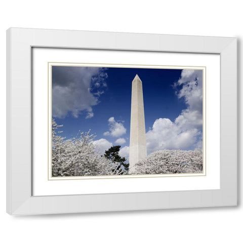 Washington Monument and cherry trees, Washington, D.C. White Modern Wood Framed Art Print with Double Matting by Highmith, Carol