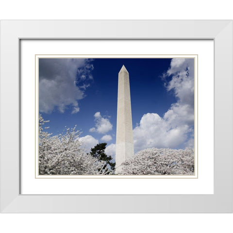 Washington Monument and cherry trees, Washington, D.C. White Modern Wood Framed Art Print with Double Matting by Highmith, Carol