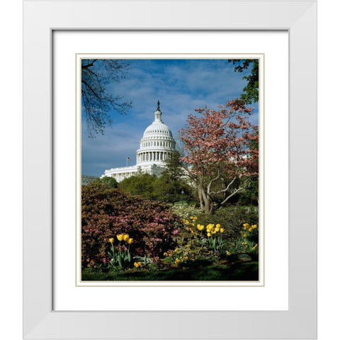 U.S. Capitol, Washington, D.C. Number 3 White Modern Wood Framed Art Print with Double Matting by Highmith, Carol
