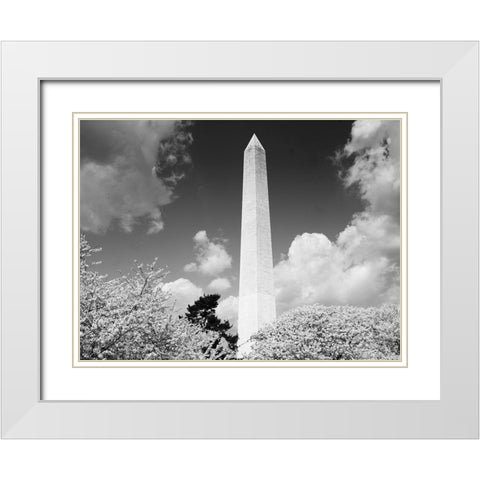 Washington Monument and cherry trees, Washington, D.C. - Black and White Variant White Modern Wood Framed Art Print with Double Matting by Highmith, Carol