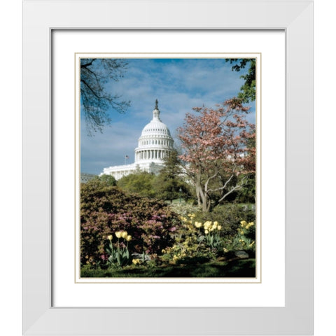 U.S. Capitol, Washington, D.C. Number 3 - Vintage Style Photo Tint Variant White Modern Wood Framed Art Print with Double Matting by Highmith, Carol