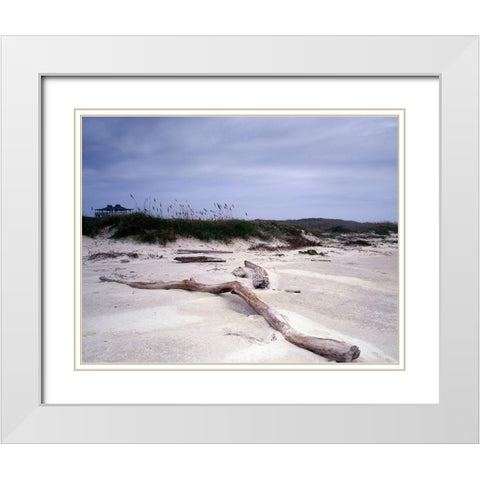 Driftwood on beach at Padre Island, TX White Modern Wood Framed Art Print with Double Matting by Highmith, Carol