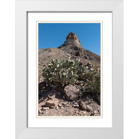 Prickly Pear Cactus and scenery in Big Bend National Park, TX White Modern Wood Framed Art Print with Double Matting by Highmith, Carol