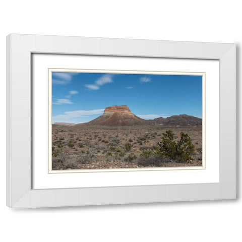 Scenery in Big Bend National Park, TX White Modern Wood Framed Art Print with Double Matting by Highmith, Carol