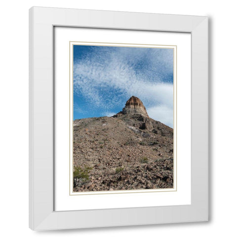 Scenery in Big Bend National Park, TX White Modern Wood Framed Art Print with Double Matting by Highmith, Carol