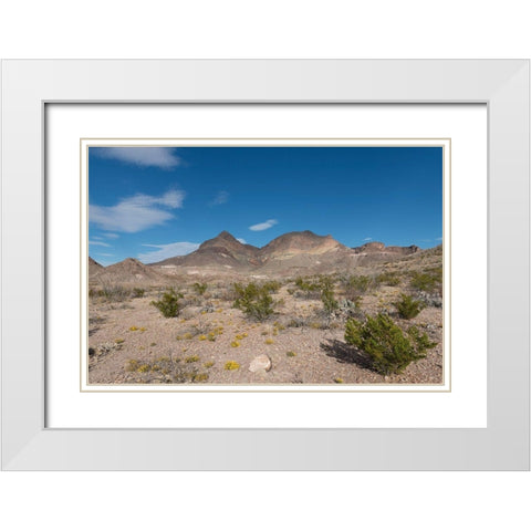 Scenery in Big Bend National Park, TX White Modern Wood Framed Art Print with Double Matting by Highmith, Carol