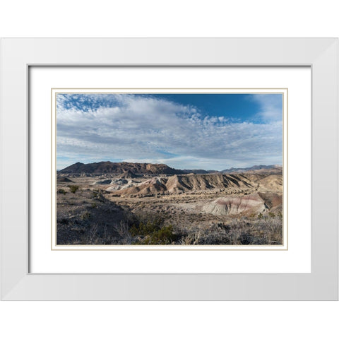 Scenery in Big Bend National Park, TX White Modern Wood Framed Art Print with Double Matting by Highmith, Carol