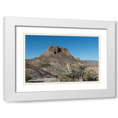 Scene from Big Bend National Park in Brewster County, TX White Modern Wood Framed Art Print with Double Matting by Highmith, Carol
