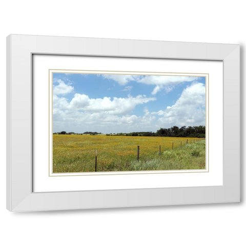 A field of wildflowers near Chappel Hill in Austin County, TX, 2014 White Modern Wood Framed Art Print with Double Matting by Highmith, Carol