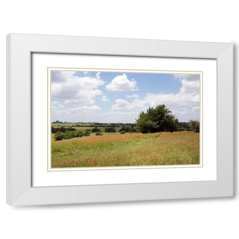 A field of wildflowers near Chappel Hill in Austin County, TX, 2014 White Modern Wood Framed Art Print with Double Matting by Highmith, Carol
