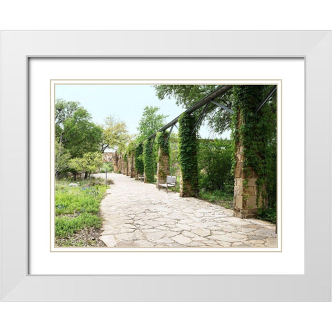 Paved walkway at the Lady Bird Johnson Wildflower Center, near Austin, TX White Modern Wood Framed Art Print with Double Matting by Highmith, Carol