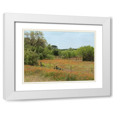 Field of wildflowers in Gonzales County, TX White Modern Wood Framed Art Print with Double Matting by Highmith, Carol