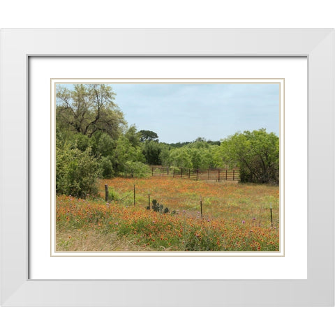 Field of wildflowers in Gonzales County, TX White Modern Wood Framed Art Print with Double Matting by Highmith, Carol