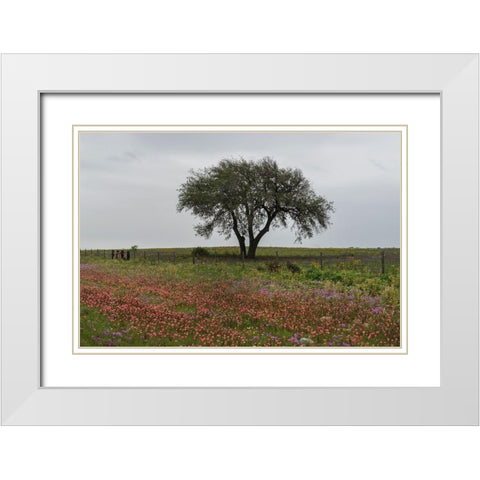 Wildflower field near Poteet in Atascosa County, TX White Modern Wood Framed Art Print with Double Matting by Highmith, Carol
