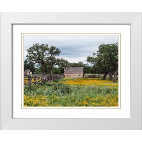 Vivid field of wildflowers in the Lyndon B. Johnson National Historical Park in Johnson City, TX White Modern Wood Framed Art Print with Double Matting by Highmith, Carol
