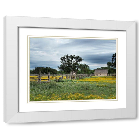 A beautiful wildflower array in a meadow in Johnson City, TX White Modern Wood Framed Art Print with Double Matting by Highmith, Carol