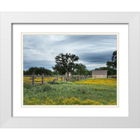A beautiful wildflower array in a meadow in Johnson City, TX White Modern Wood Framed Art Print with Double Matting by Highmith, Carol