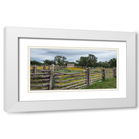 Vivid field of wildflowers in the Lyndon B. Johnson National Historical Park in Johnson City, TX White Modern Wood Framed Art Print with Double Matting by Highmith, Carol