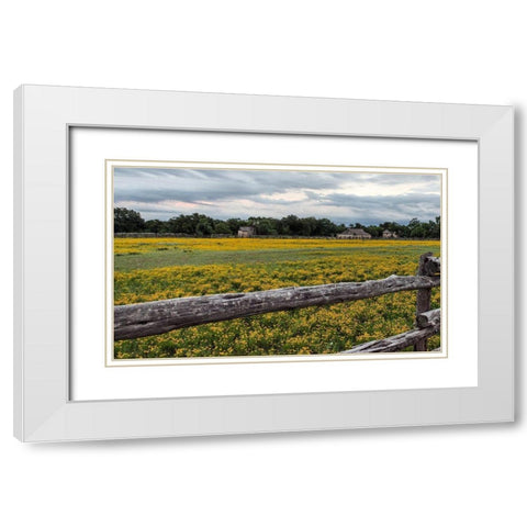 Vivid field of wildflowers in the Lyndon B. Johnson National Historical Park in Johnson City, TX White Modern Wood Framed Art Print with Double Matting by Highmith, Carol