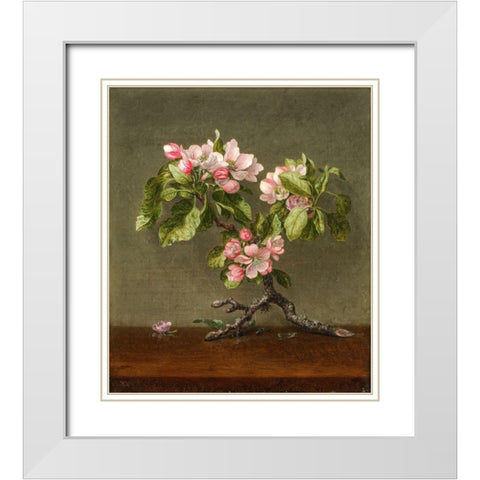 Apple Blossoms White Modern Wood Framed Art Print with Double Matting by Heade, Martin Johnson